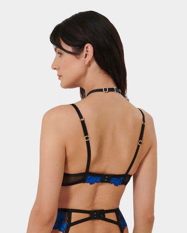 Sorento Suspender Harness (with detachable collar) Black/Egyptian Blue