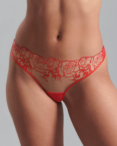 Rosalie Brief Red/Sheer