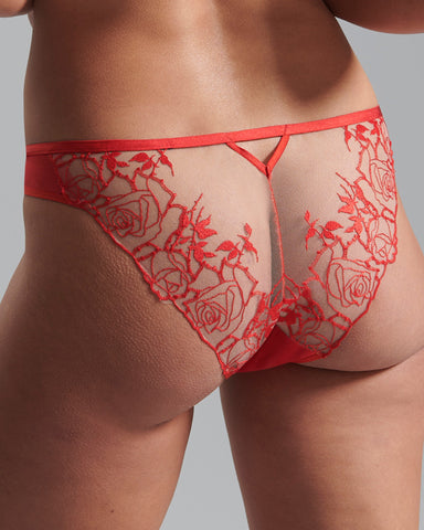 Rosalie Brief Red/Sheer